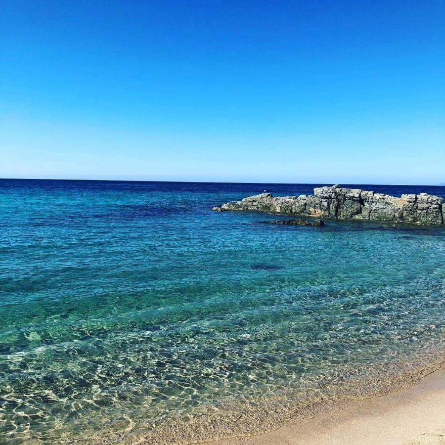 Cara Catherine Geremèas Buitenkant foto